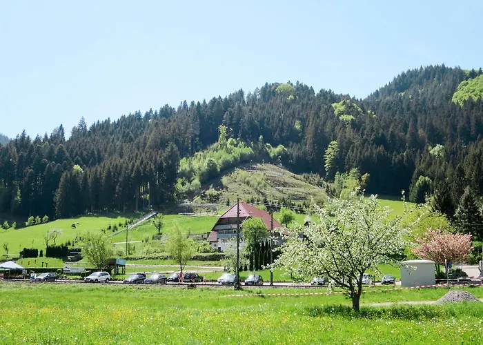 Sonnenschein By Interhome * Hornberg